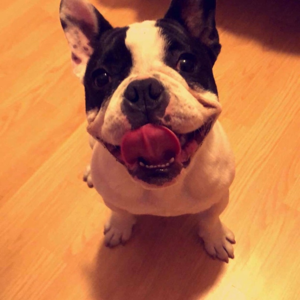 Meet your Posher, Luis